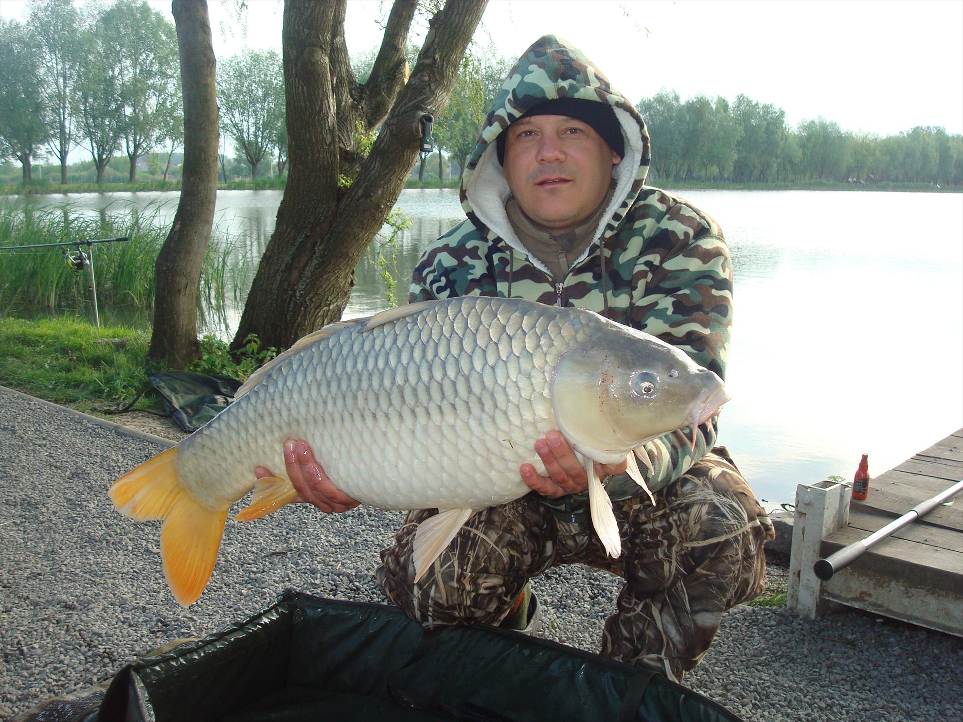 pescuit pe o balta superba - dsc07541.JPG